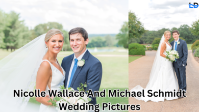 nicolle wallace and michael schmidt wedding pictures