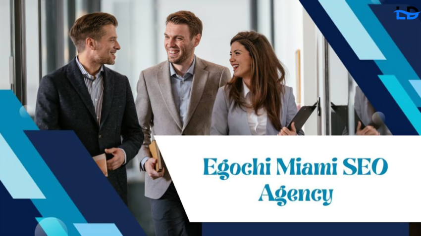 egochi miami seo agency